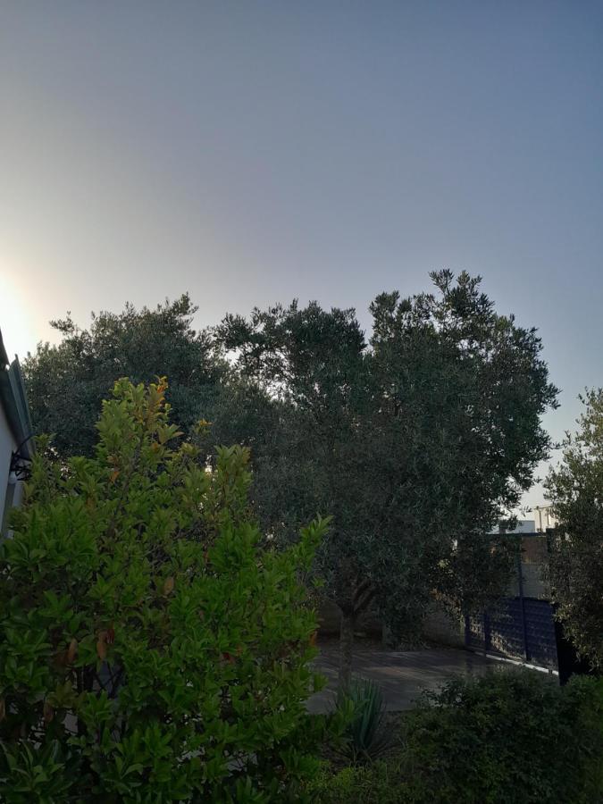 Garden Beach House Hamallaj Εξωτερικό φωτογραφία